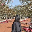 길인목장 | 제주도관광지 아이와 가기 좋은 제주동쪽가볼만한곳 에코랜드테마파크 가족여행 완전정복