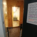 러브펫애견