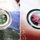 은화 - 용산구 | 은화