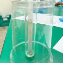 중흥고등학교 | 위와 장에서 알약은 어떻게 변할까? 약물전달시스템 실험[제약공학자 / 24.5.3 부천시 중흥고등학교]