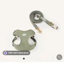 똥싼 강아지 | 강아지 입양 후 필요한 용품에 대한 모든 것 🐶