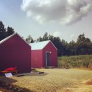 춤추는달 이미지