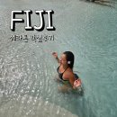 남이섬설리조트2 | 피지섬 여행 쉐라톤 데나라우 리조트 객실 숙박 후기
