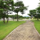 홍주의사총 이미지