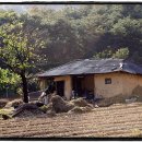 나루터 회관 이미지