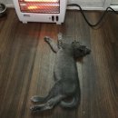 이천철권복싱체육관 이미지