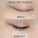 모블링