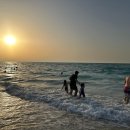 행복의섬 이미지