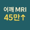 어깨인대파열 수술 후기, 가사도 직장도 멈춘 3개월