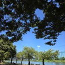 라밀 | [문경/흥덕] 또또간집 문경사과소금빵 크럼블라떼 후기 <카페 라밀>