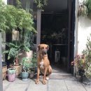 이쁜새민박 이미지