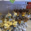 케이케이네일 이미지