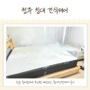 청주 매트리스청소 침대건식케어 5년된 매트리스 관리 후기