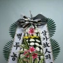 오전꽃농원 이미지