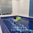 키즈풀빌라 똥강아지 이미지