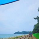 해양레일바이크 궁촌역 네이버블로그