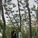 남서울공인중개사사무소 이미지