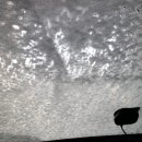 율석주유소 이미지