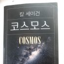 코스모스의류 네이버블로그
