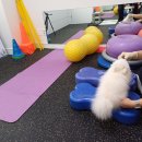 여수동물병원 이미지