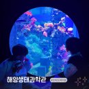 호암생태전시관 화장실 | 시흥 해양생태과학관 주말 예약없이 현장관람 주차 맛집 후기