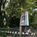 사랑나무민박 이미지