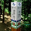 고고리 티스토리