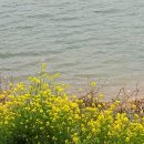 호수공원수변공원 이미지