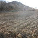 무릉도원면-41 이미지