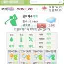 오케이온 이글 연습장 | 엘리시안강촌CC 후기 레이크, 힐코스 2026년 4월초 라운딩