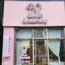 꼬미네 펫샬롱 애견미용 | 관저동애견미용 제일 잘 하는 곳!!