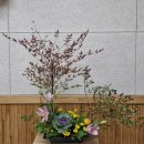 남천-1(남천면 행정복지센터 내) | “기흥 꽃꽂이 클래스｜가을 정원형 플라워아트 (소국·백합·남천·편백)”