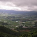 GR(양구군)-[정중앙로]-상-3 | 닮은 듯 다른