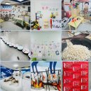 큰나무유치원 | 화서동 행복나무 유치원 (3년 재원 후기)