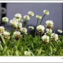 자연과 하루 이미지