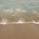 바닷가수산시장 | 🌊 여름휴가 2일차 2편 + 3편, 한섬해수욕장 &amp; 대포항수산시장 한성호 후기 (08.11 ~ 08.13)