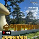 송이밸리자연휴양림 | 국내유일! 슈퍼맨처럼 나는 짚라인, 양양 하늘나르기 체험기 양양레포밸리 양양송이밸리 자연휴양림