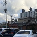 제주도 해장국 | 제주도 우진해장국 별관 후기(제주시 중앙로)｜본관 줄 길면 여기로 가세요!