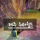 월드패스투어 | 제주 워터월드 투어패스 내돈내산 이용 후기