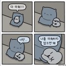 술술잘풀리는행운의돈삼겹살 | 이 일기는 강남에서 시작되어... (직장인 8월 갈무리 행운의 일기)