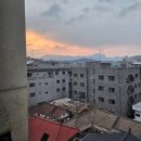 서울시 성북구 석관동 방충망 교체+클린케어 후기