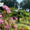 로만토피아오름추억 이미지