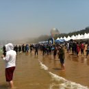 태안바다 이미지