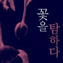 꽃을탐하다 이미지