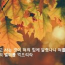 100일 감사노트 후기, 긍정과 감사의 셀프텔러 이미지