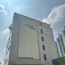 마리아 시험관 2차 5일 배양 동결 이식 결과 완전유산 약물 배출 휴메트린 후기 임신전 부부 영양제 준비