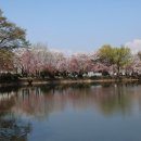 영산 연지 이미지