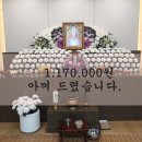 상조할인마트 이미지