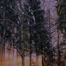 휴양림 관리사무소 화장실 이미지