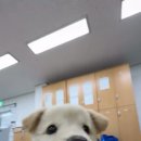진도군청 육상팀의 복지 중 하나 이미지